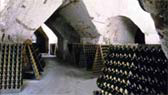 typischer Keller in der Champagne