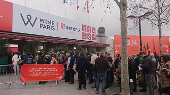 Bild zu Die Wine Paris 2024 (Teil 2)